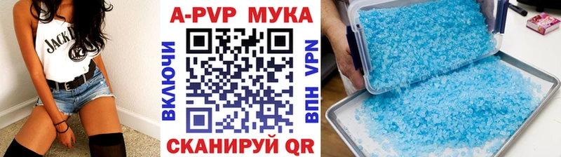 Alfa_PVP СК КРИС  Советская Гавань 