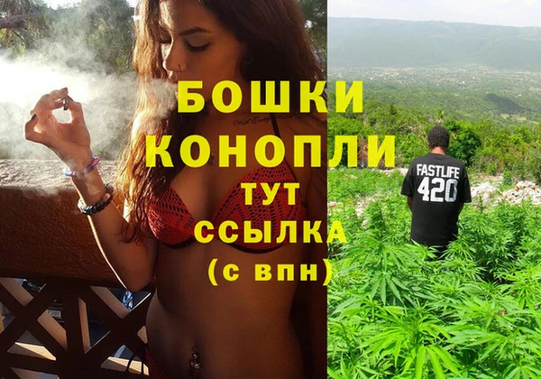 мет Новозыбков