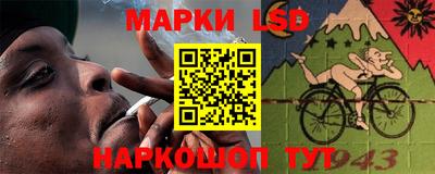 прущие грибы Комсомольск-на-Амуре