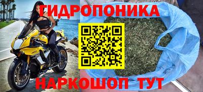 прущие грибы Комсомольск-на-Амуре