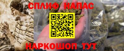прущие грибы Комсомольск-на-Амуре