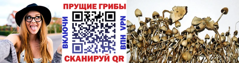 Псилоцибиновые грибы Magic Shrooms  купить наркоту  Советская Гавань 
