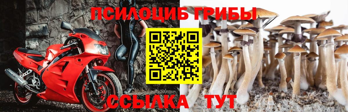 Псилоцибиновые грибы GOLDEN TEACHER Советская Гавань