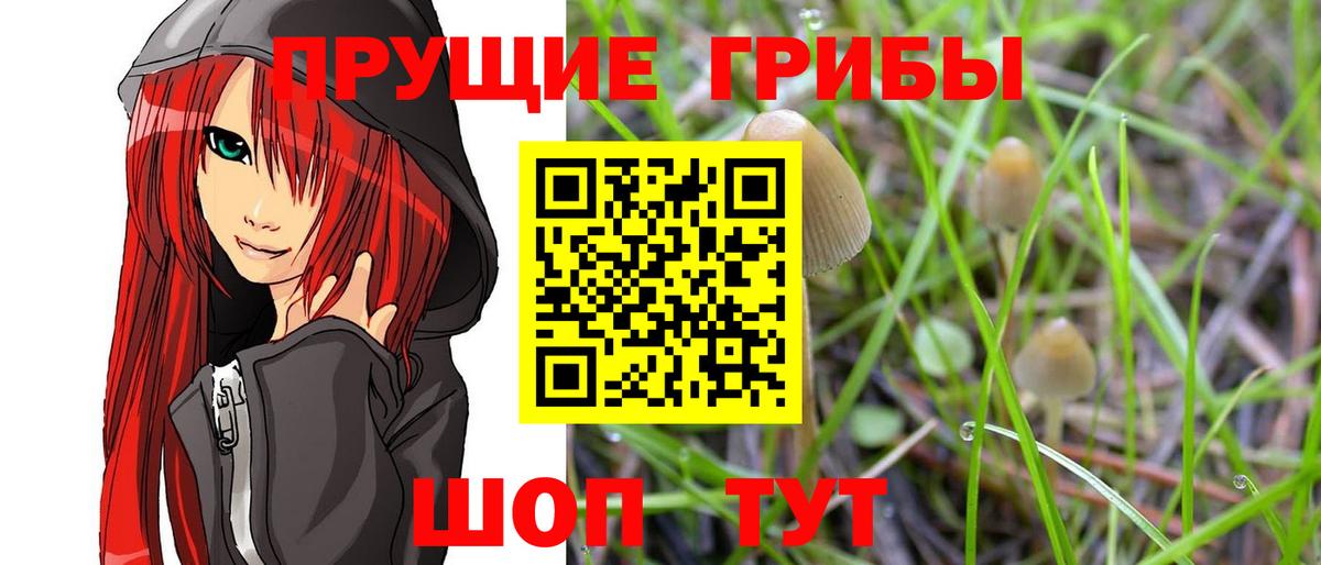 Советская Гавань  наркошоп  Псилоцибиновые грибы MAGIC MUSHROOMS  Вход с VPN  Галлюциногенные грибы прущие грибы 